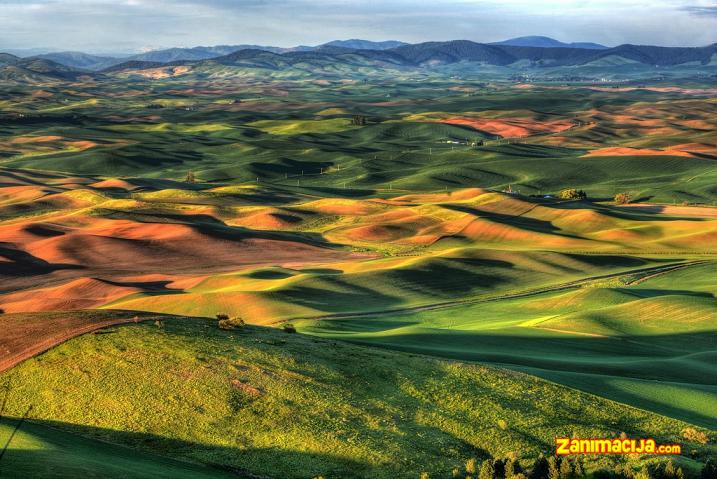 Američka Toskana Hills Paluz