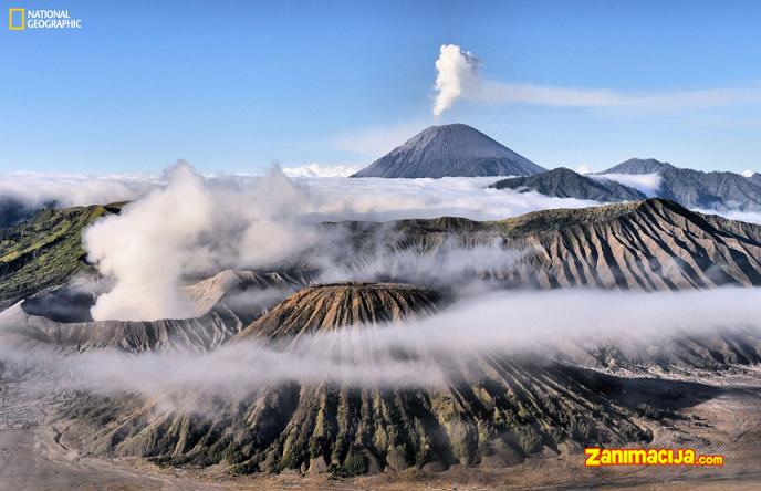 Neverovatne fotografije sa konkursa Nacionalne geografije, 2014