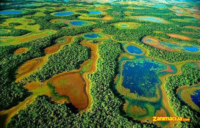 Najveća slatkovodna močvara na svetu, Pantanal