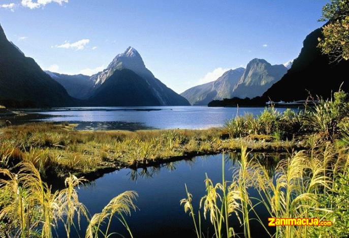 Milford Sound Fjord, Novi Zeland