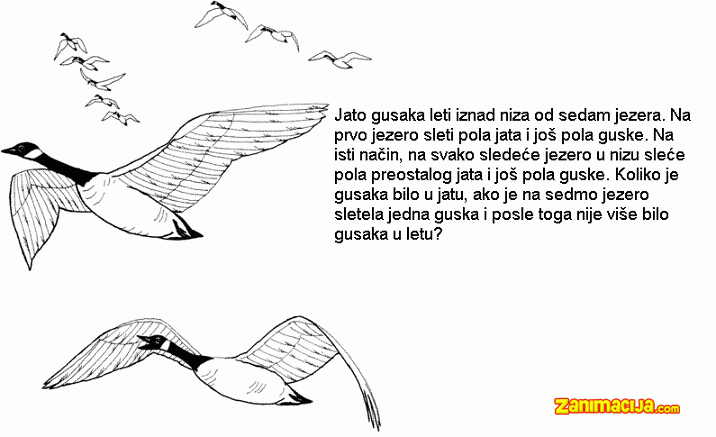 Matematički zadatak – 15.