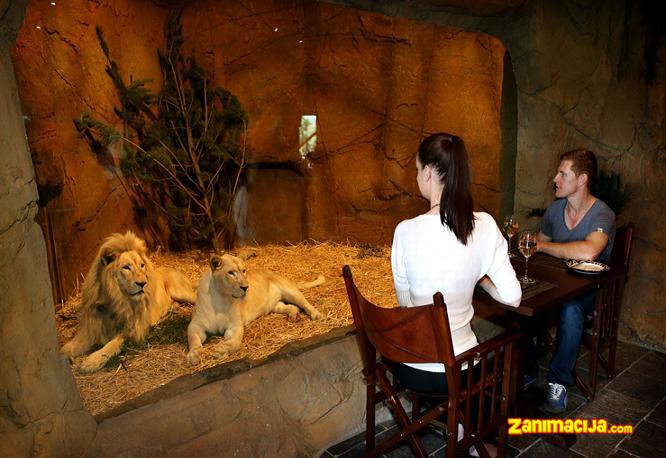 Jedinstveni hotel-zoo u Australiji