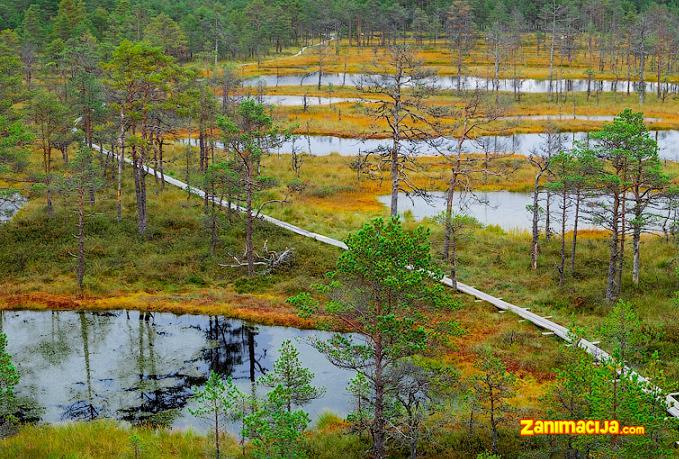 Nacionalni park Lahemaa, Estonija