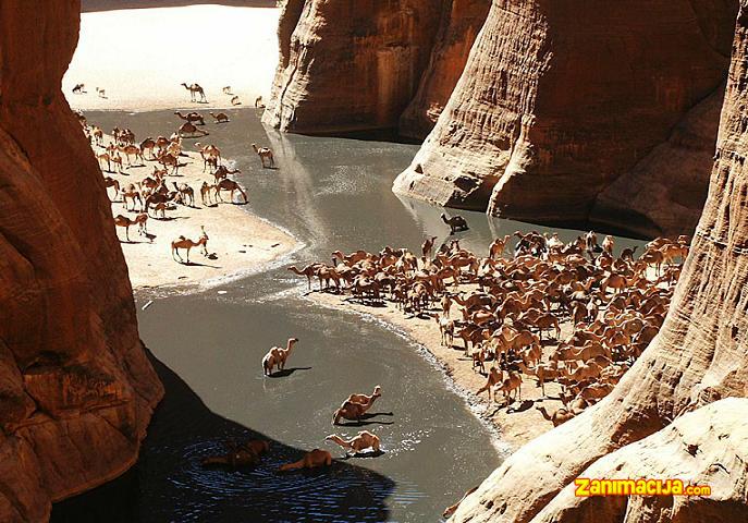 Guelta d Archei - prekrasna oaza u Sahari