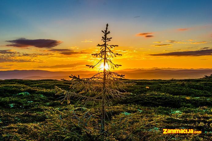 Lepota prirode u zoru i sumrak