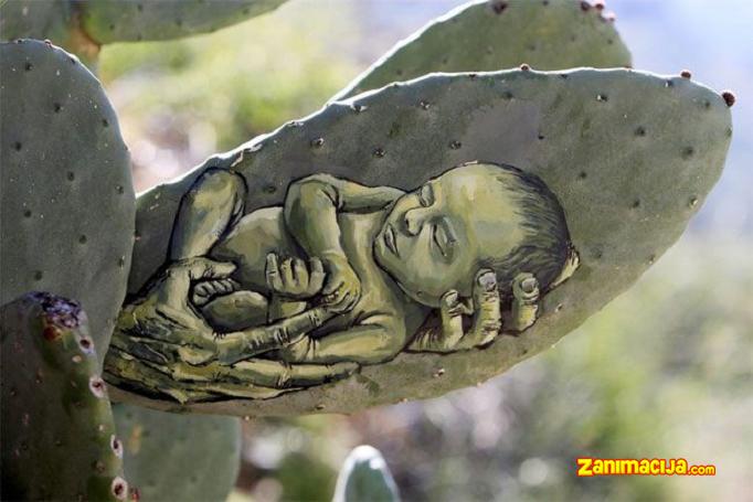 Neverovatne slike na kaktusu