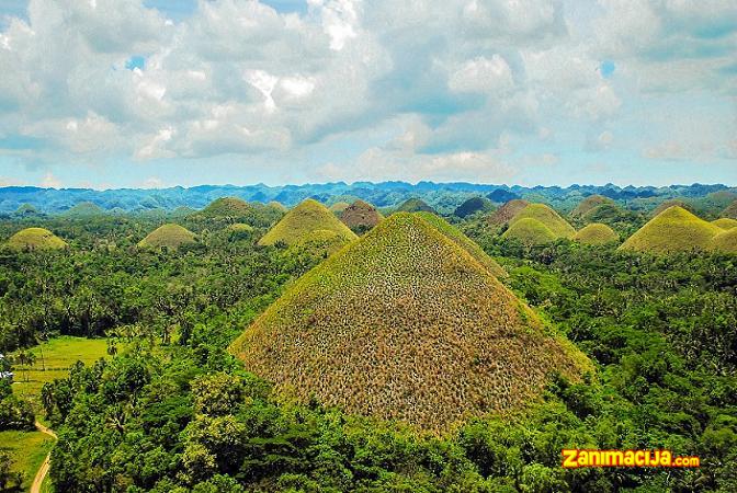 Čokoladna brda - atrakcija ostrva Bohol, Filipini