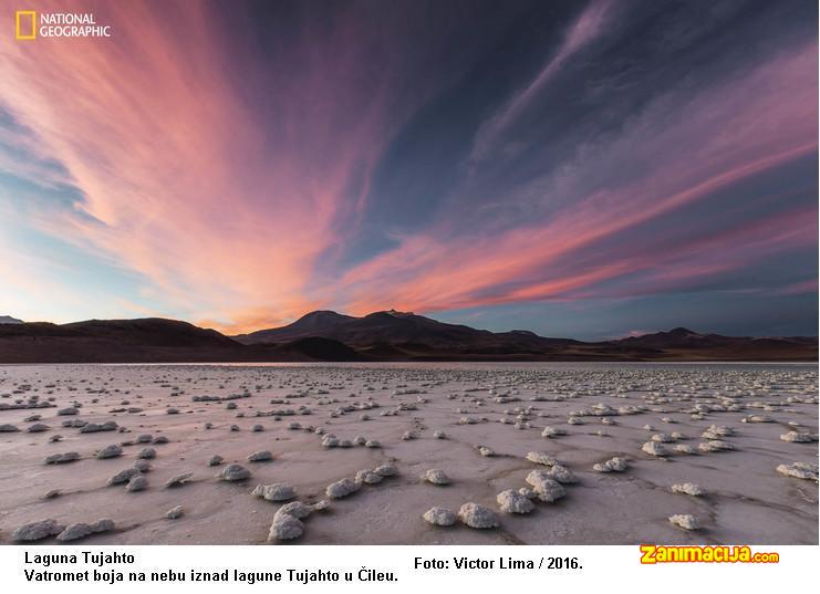 Fotografija godine od strane National Geographic 2016.