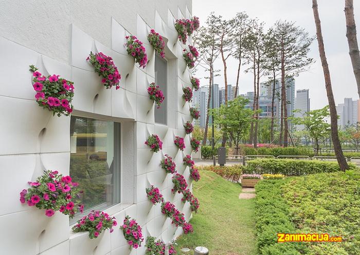 Novi trend: dekoracija fasada kuća sa vazama cveća