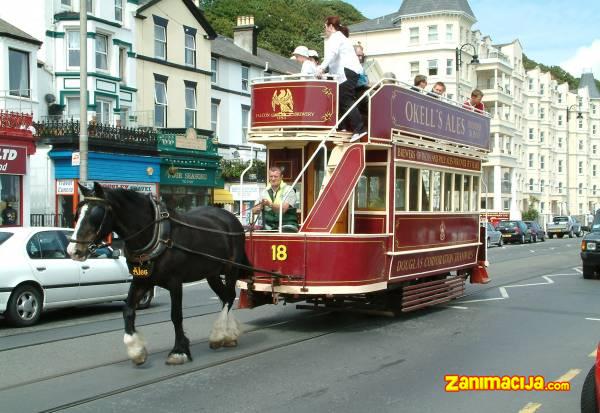 Konjski tramvaj u gradu Douglasu