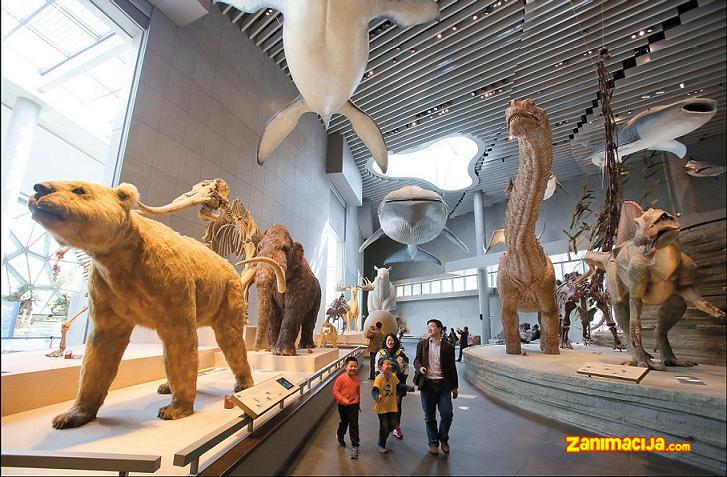Šangajski prirodnjački muzej
