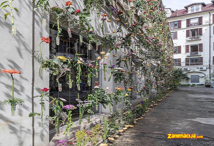Šarena zavesa od 2.000 cvetova krasi fasadu u Milanu