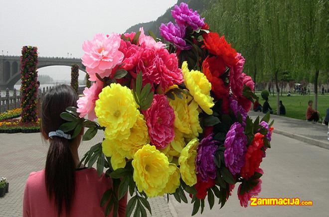 Božur festival u Kini