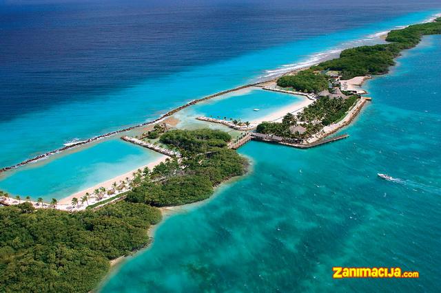 Ostrvo Aruba - raj sa belim peskom i flamingosima