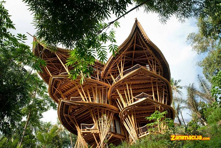Neverovatna kuća od bambusa