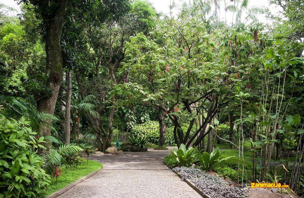 Upoznajte vrt pejzažnog dizajnera Roberto Burle-Marx